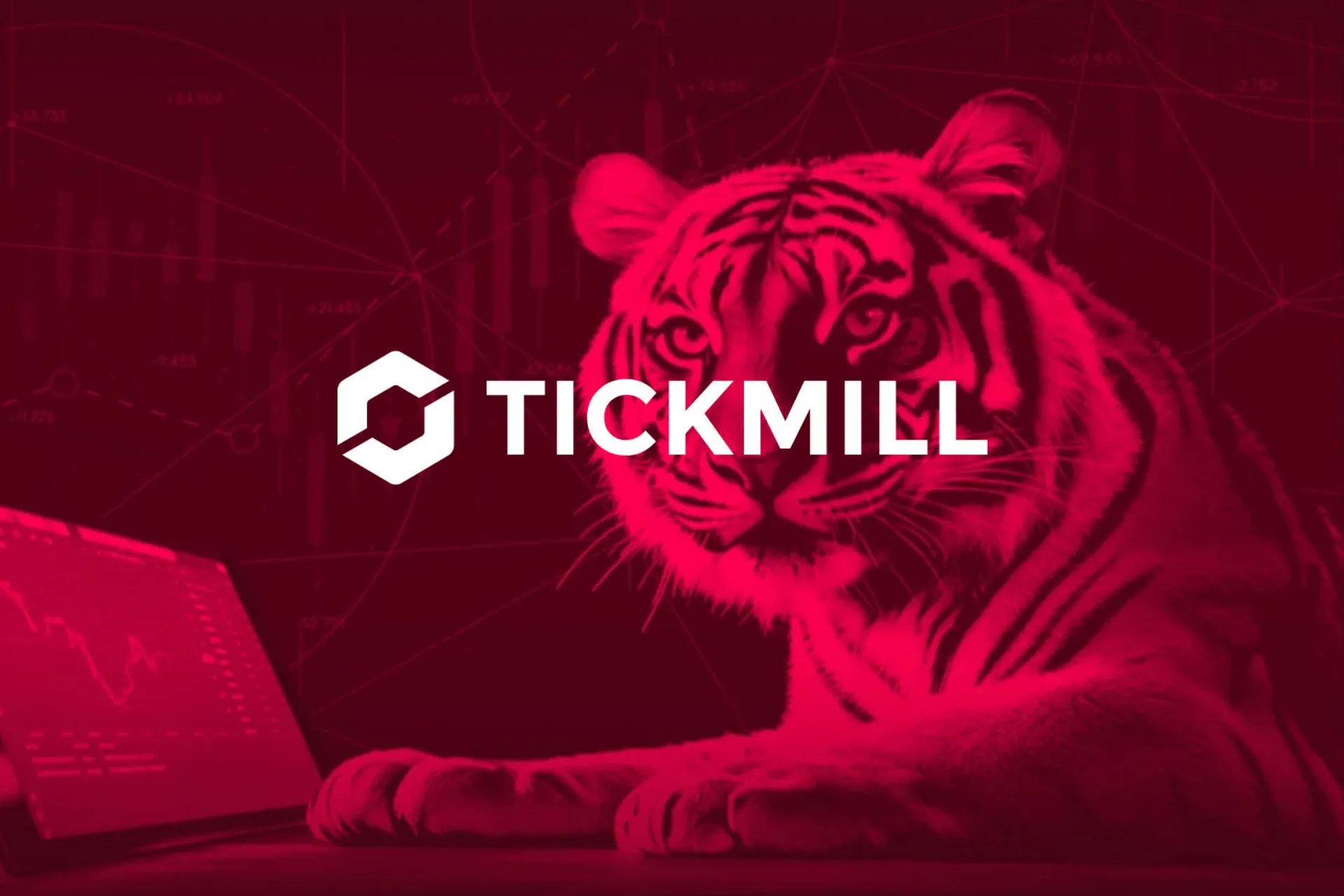 Tickmill